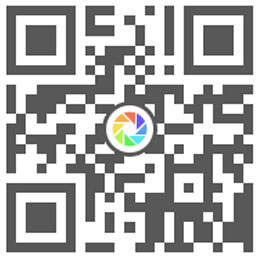 白银专题资料资料图片